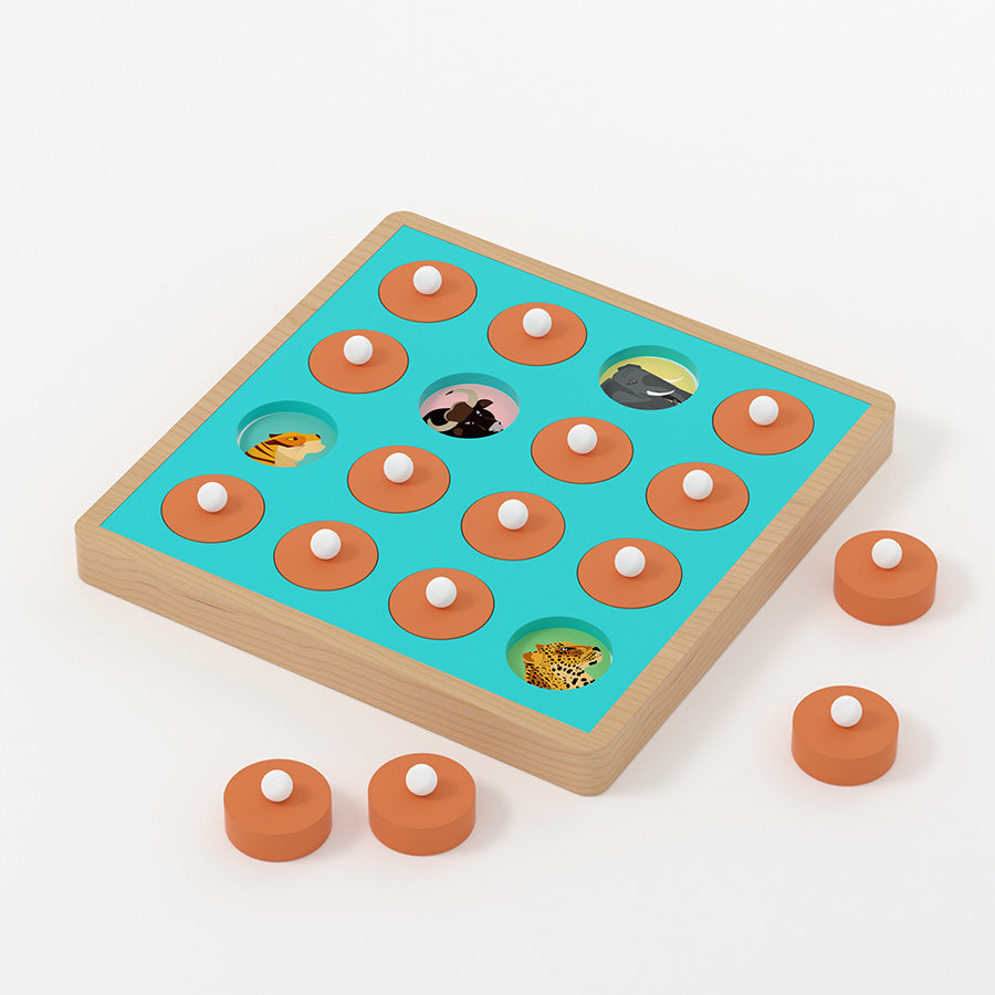 Turn and Learn - Memory Game - Flora and Fauna – Aurva